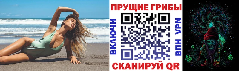 Псилоцибиновые грибы Psilocybe  Купить  Красный Холм 