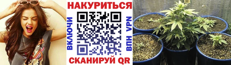 Купить закладки  Красный Холм  Каннабис THC 21% 